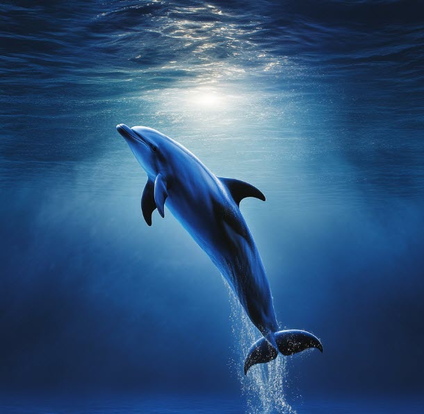 Le Grand Bleu de Luc Besson (1988)