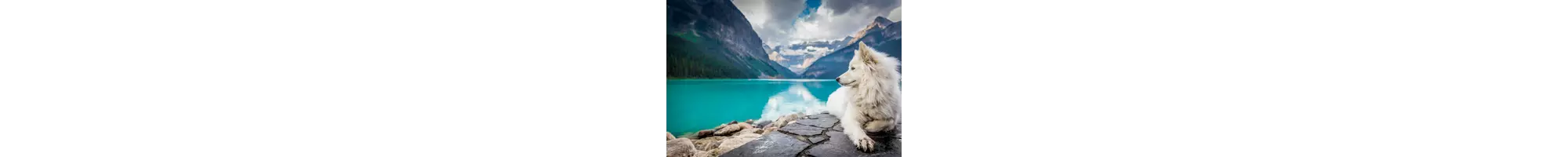 Specific or Shared Sections